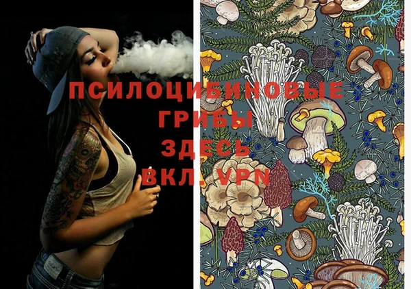 первитин Покачи