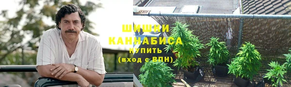 твердый Белокуриха