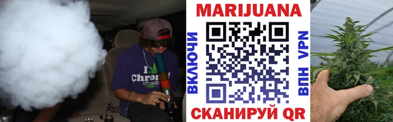 Бошки марихуана сатива Светогорск